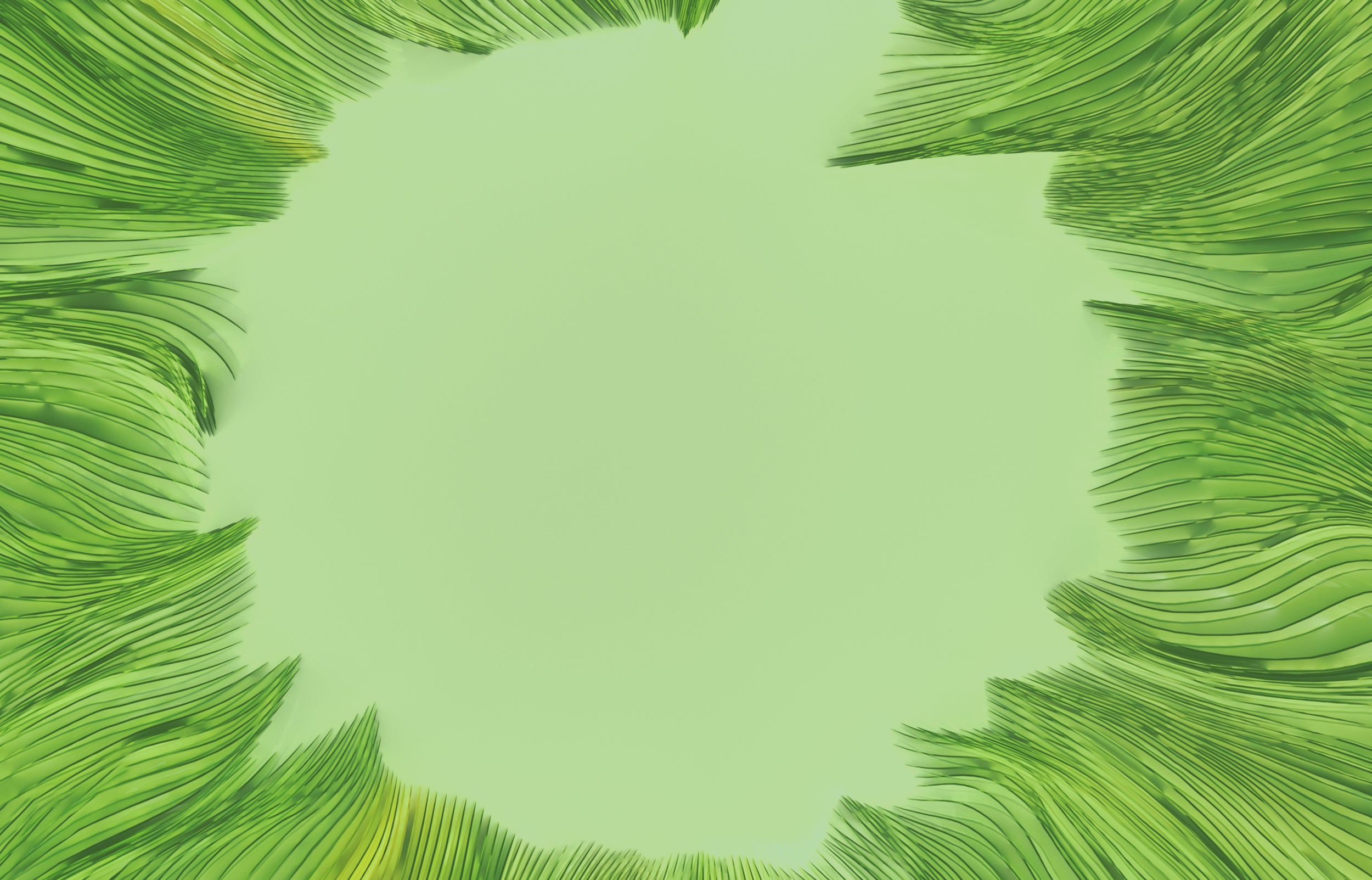 aloe.jpg